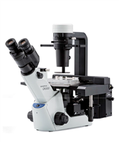 奥林巴斯CKX53常规型显微镜